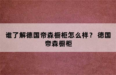 谁了解德国帝森橱柜怎么样？ 徳国帝森橱柜